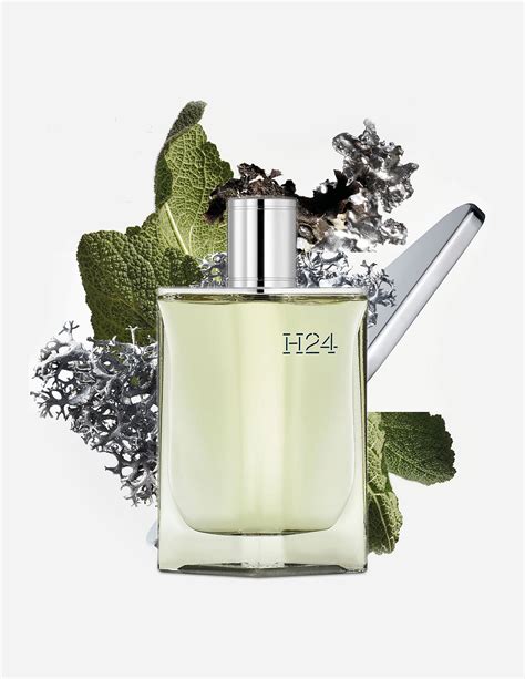 hermes edt vs edp|H24 Eau de Parfum Hermès for men .